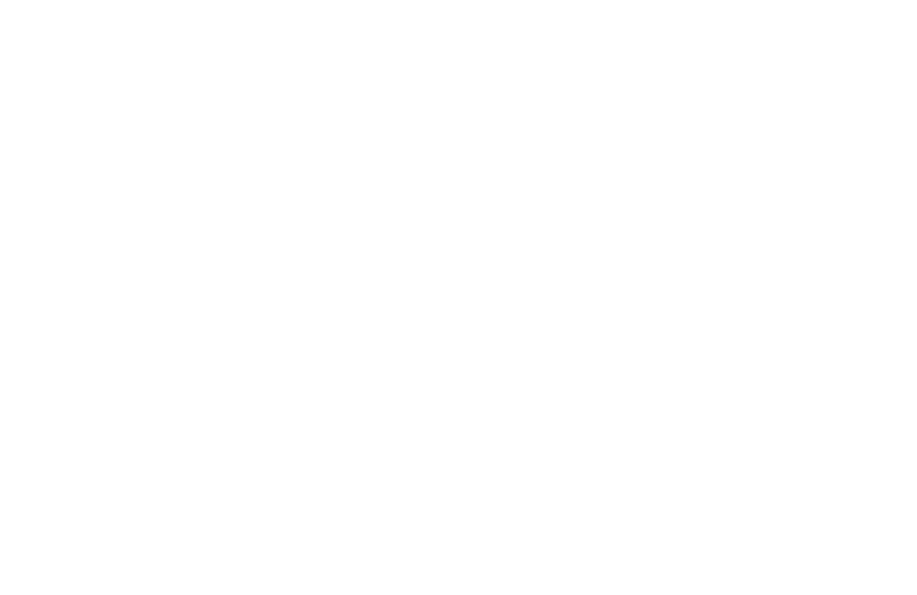 Dahi Yogurt